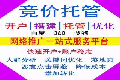 SEM广告案例：数据分析驱动营销决策